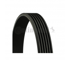 continental_v-ribbed_belt