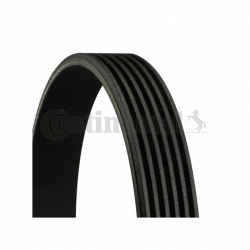 continental_v-ribbed_belt